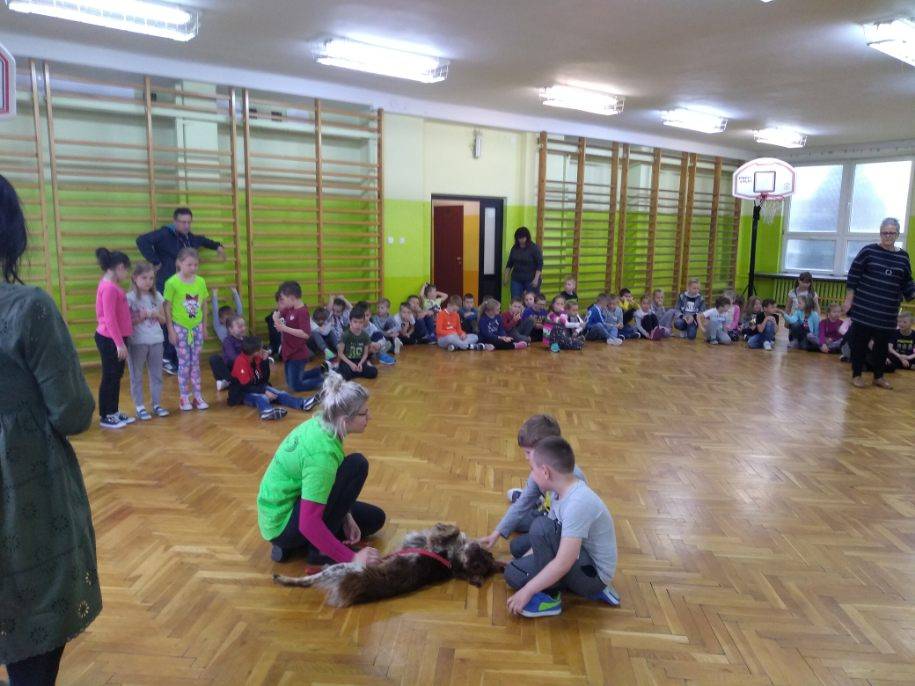 Zdjęcie 2