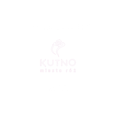 LOKALNY PROGRAM MIKROGRANTÓW: MIKROGRANTY W KUTNIE 2022