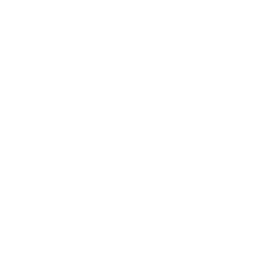 LOKALNY PROGRAM MIKROGRANTÓW: MIKROGRANTY W GMINIE WIERUSZÓW 2024
