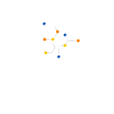 ŁÓDŹ AKADEMICKA - NAUKOWA, KREATYWNA I WIELOKULTUROWA - MAŁE GRANTY