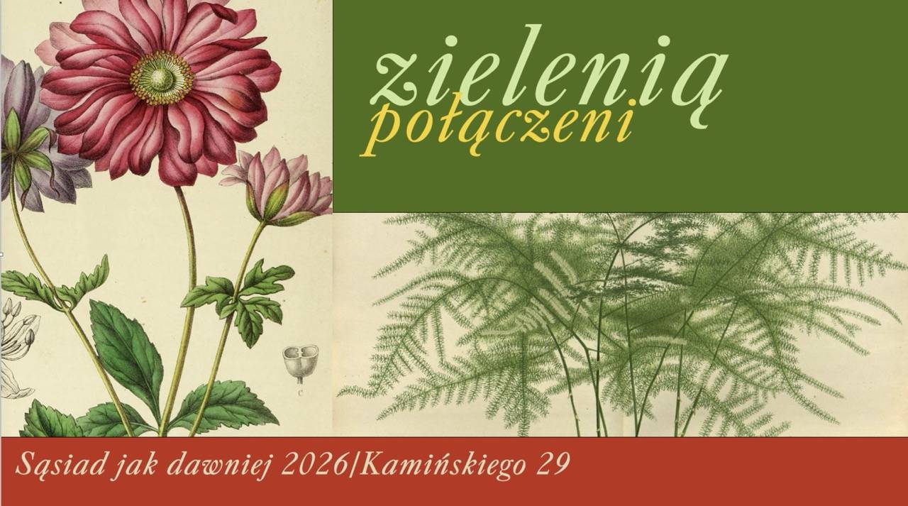 Zdjęcie 3