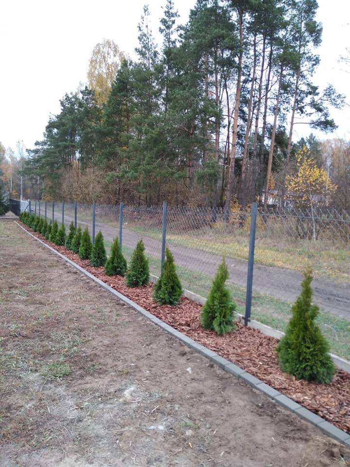 Zdjęcie 5