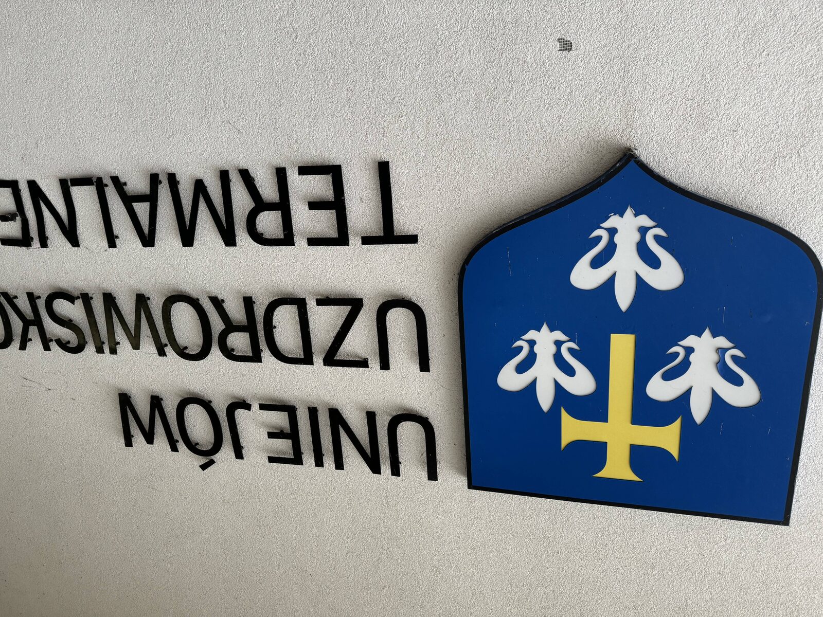 Zdjęcie 4