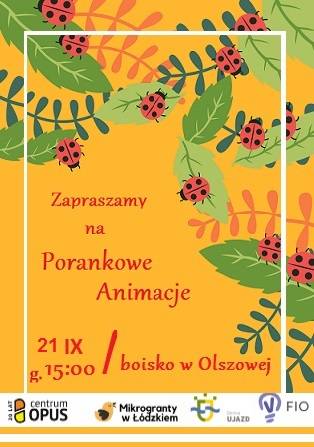 Zdjęcie 5