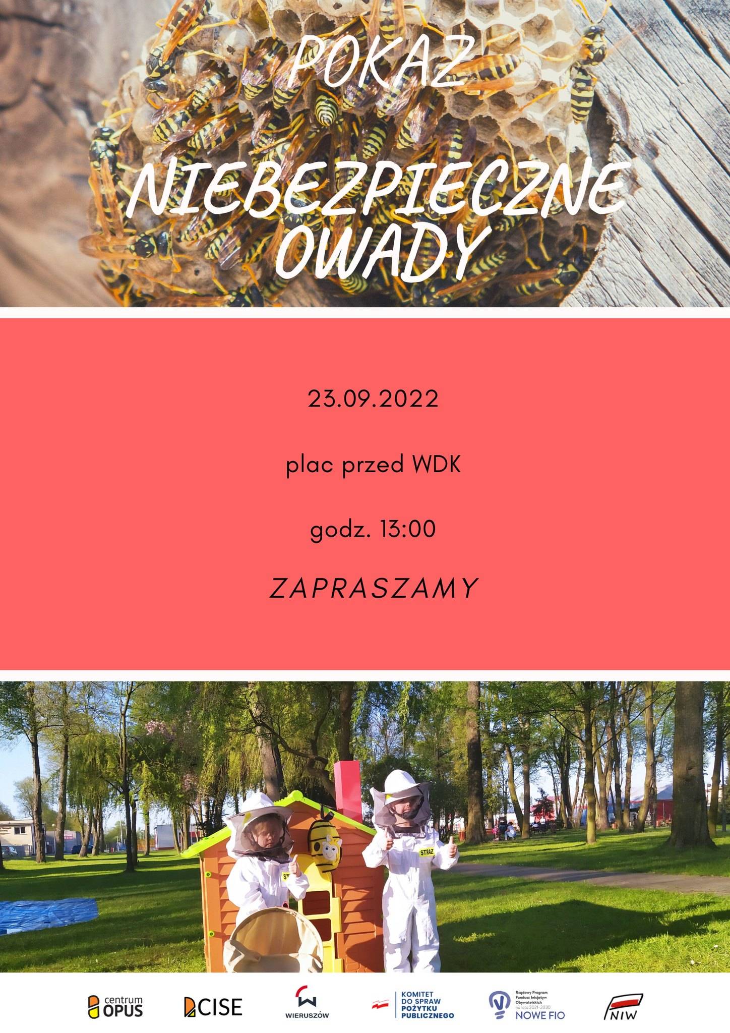 Zdjęcie 5