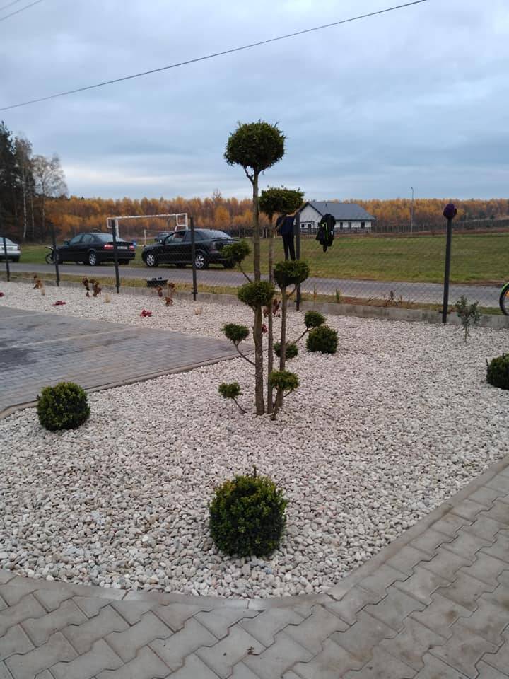 Zdjęcie 3