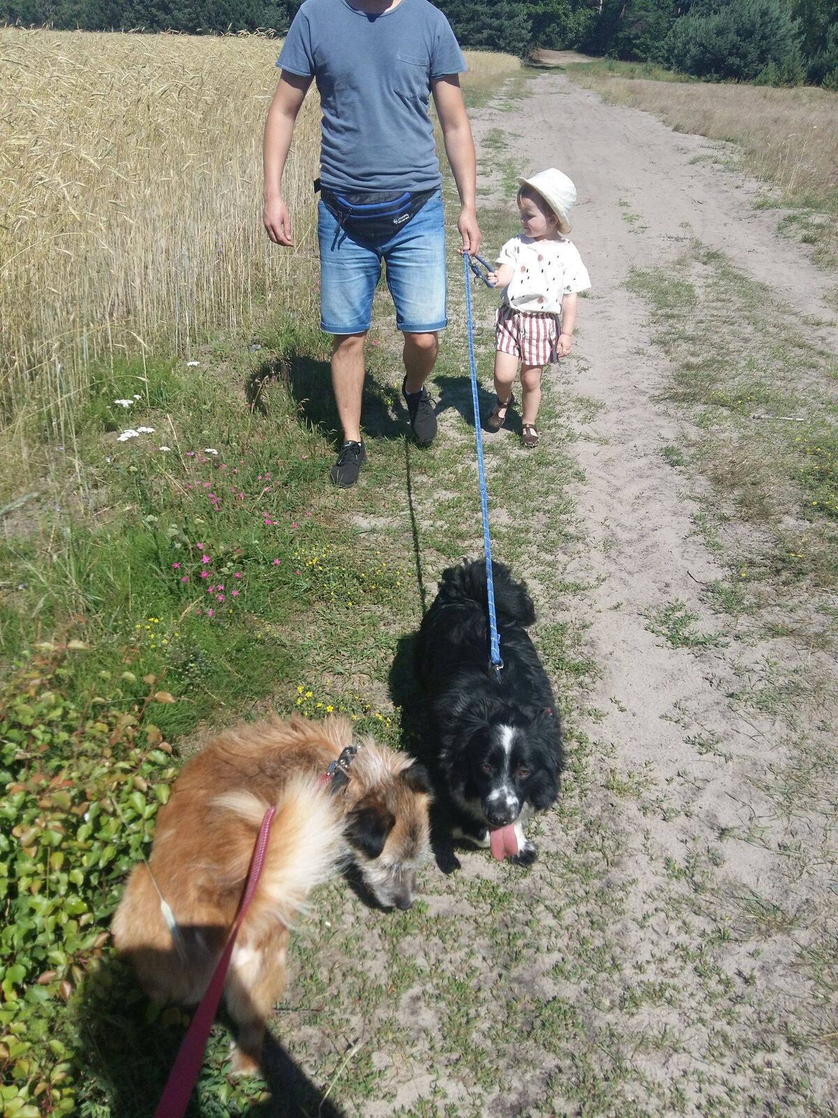 Zdjęcie 5