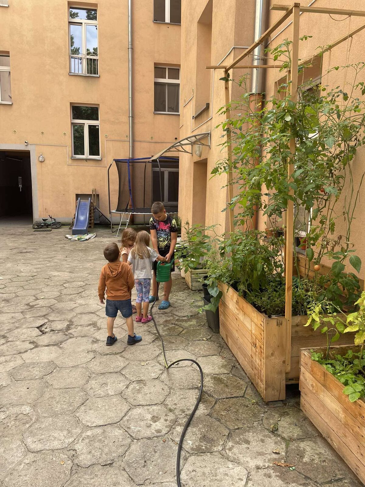 Zdjęcie 4