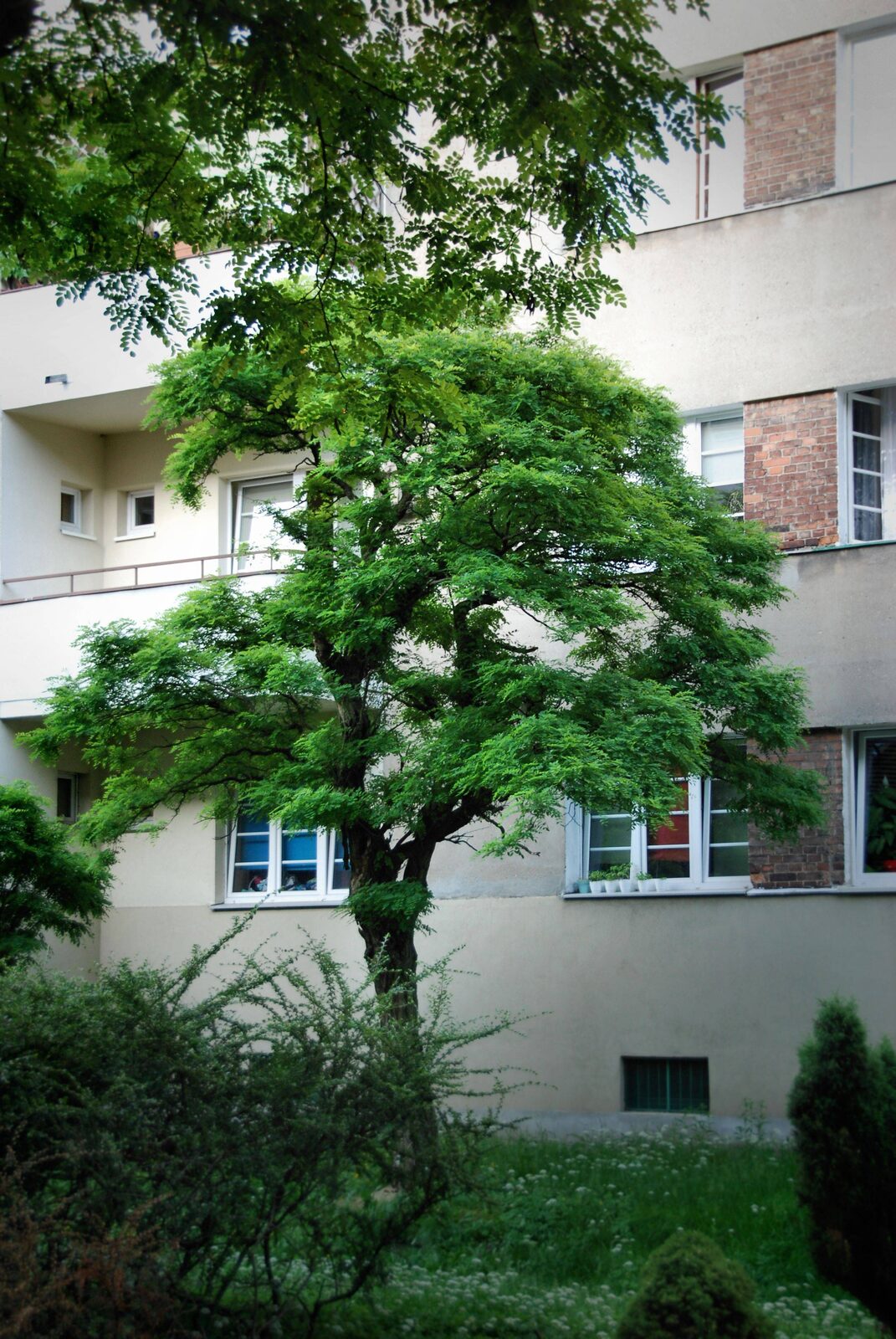 Zdjęcie 2