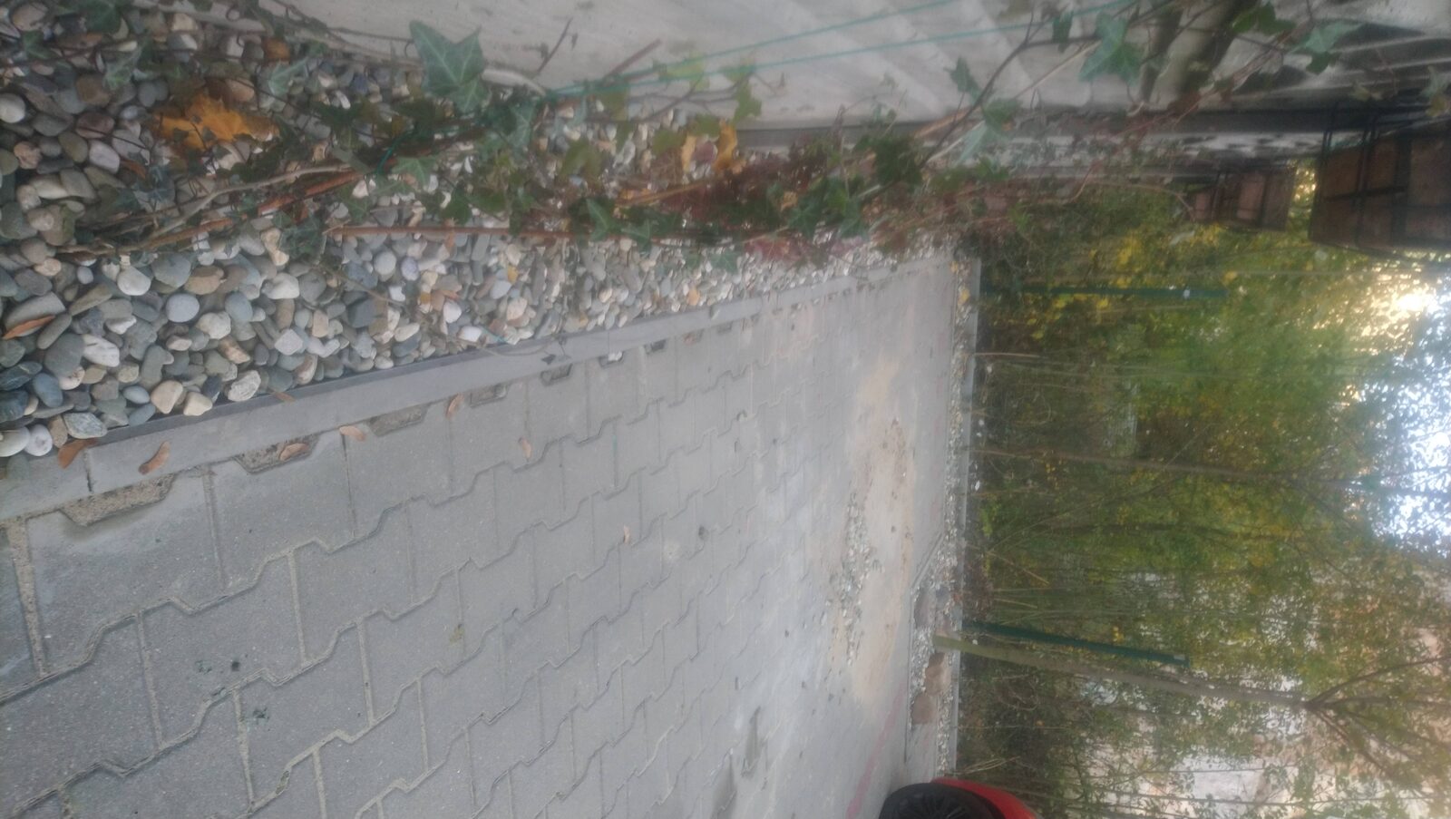 Zdjęcie 1