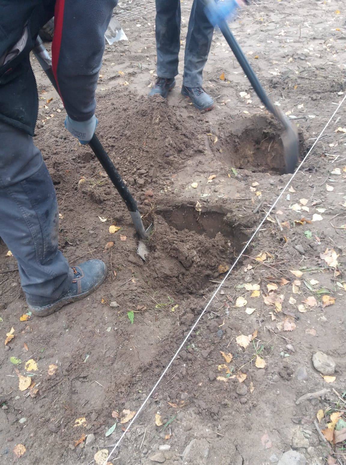 Zdjęcie 5