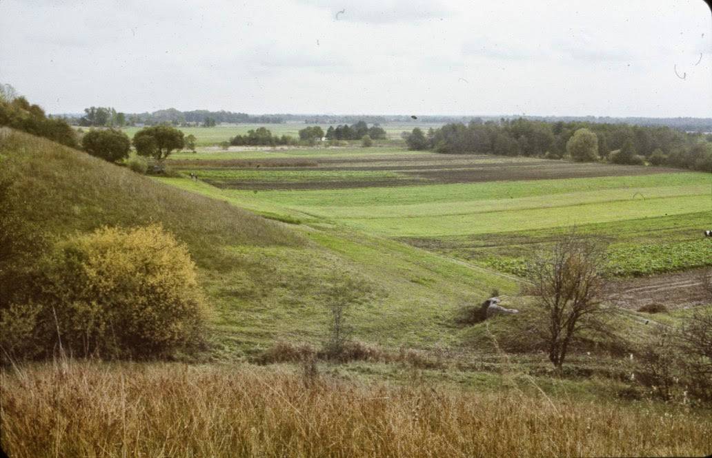 Zdjęcie 3