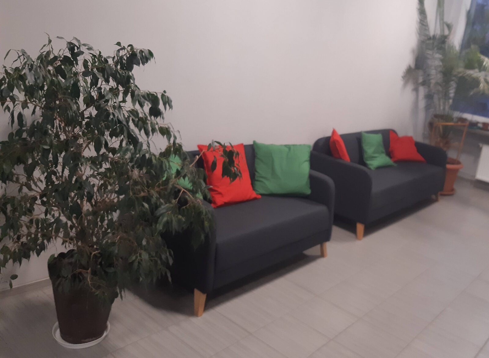 Zdjęcie 5