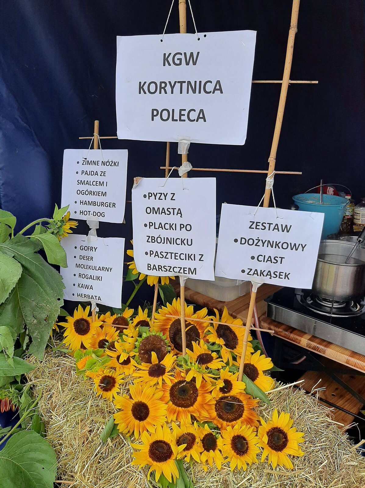 Zdjęcie 1