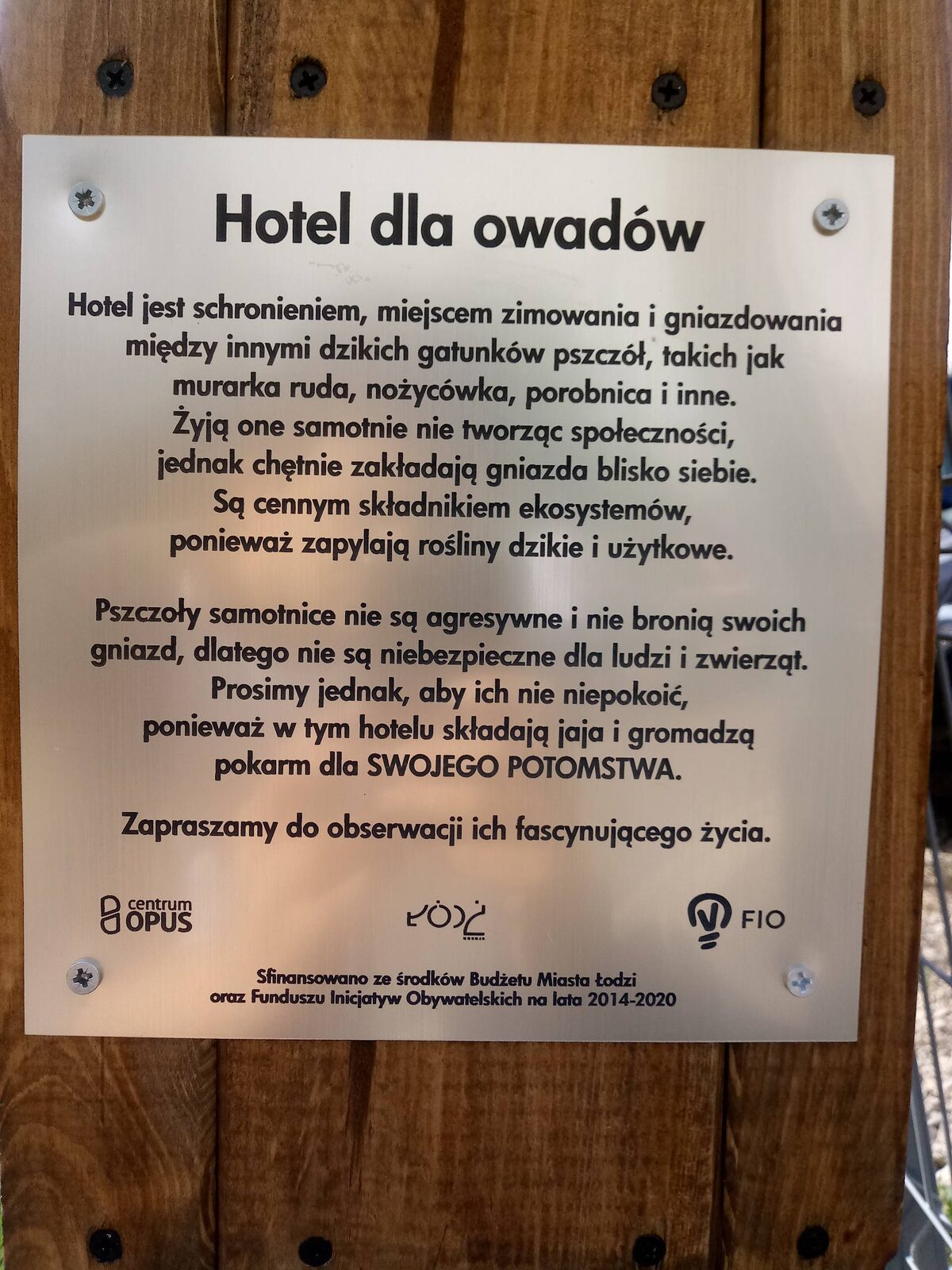 Zdjęcie 2