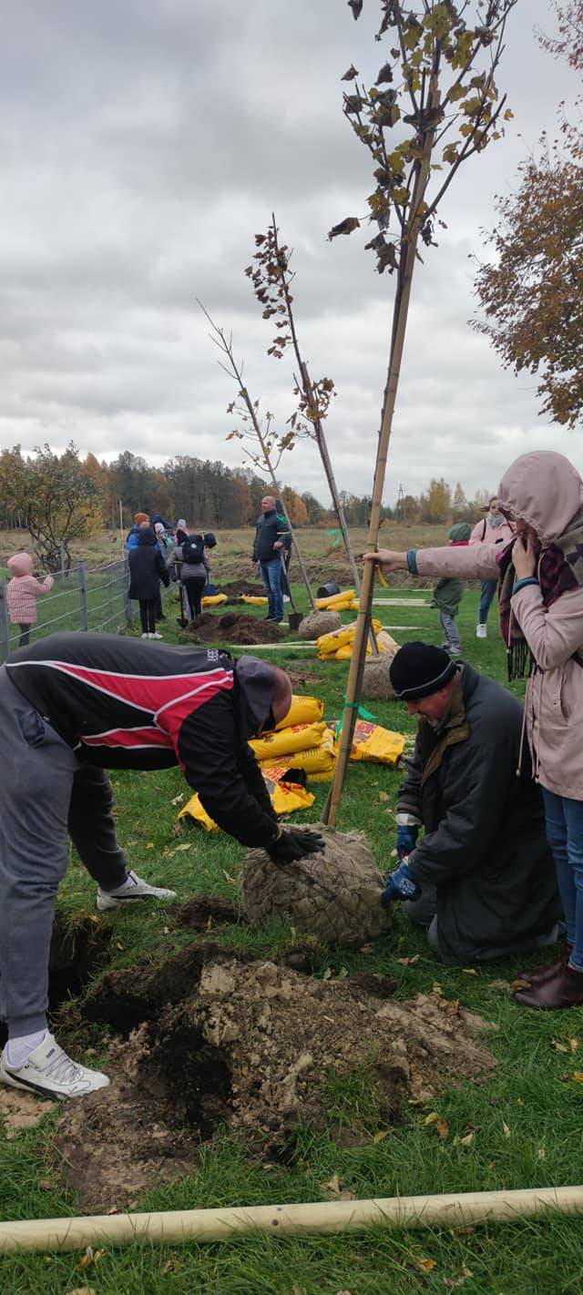 Zdjęcie 5
