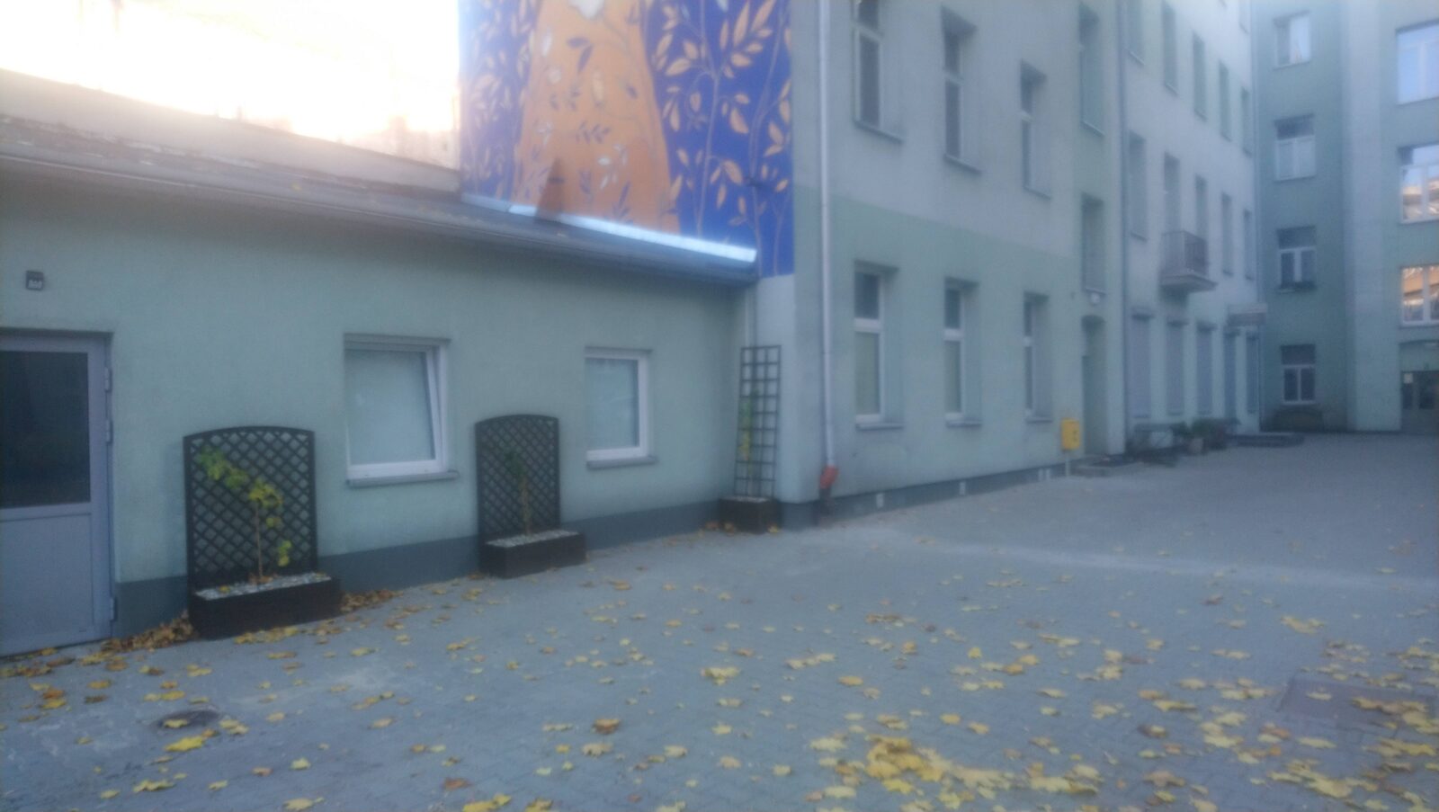 Zdjęcie 4