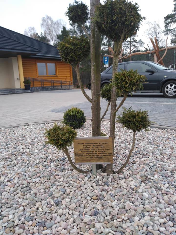 Zdjęcie 1