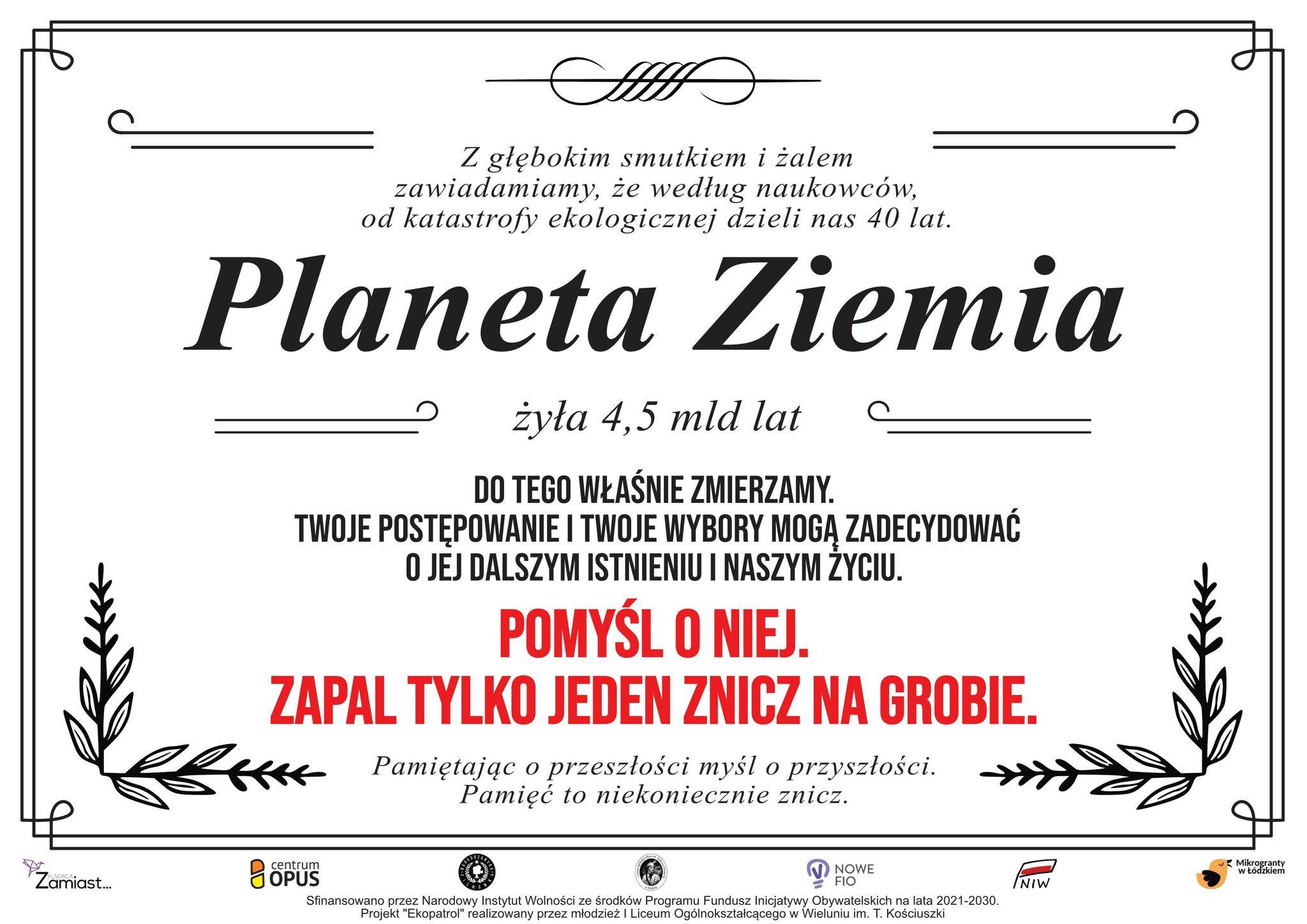 Zdjęcie 2