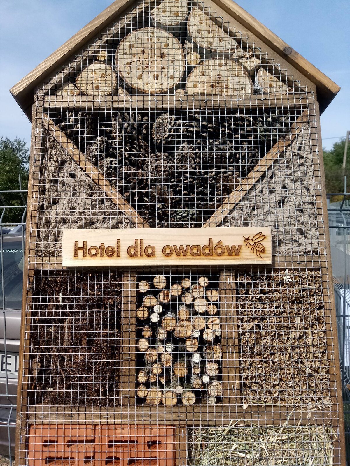 Zdjęcie 1