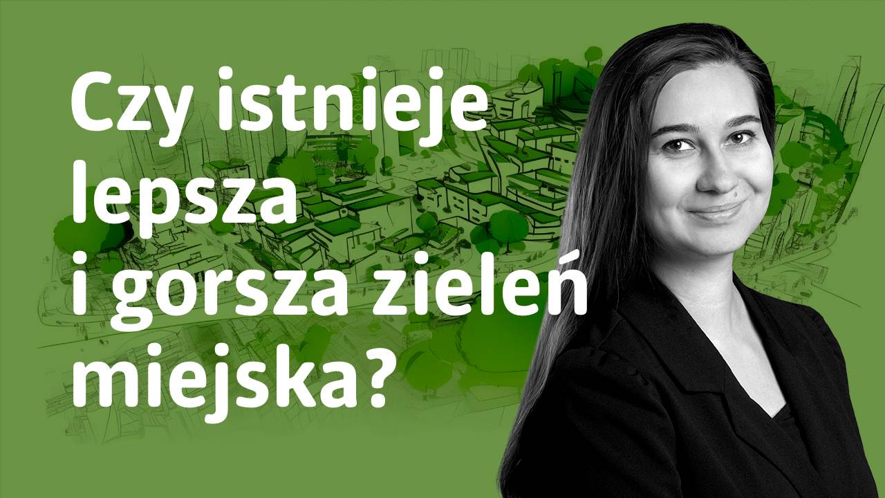 Zdjęcie 4