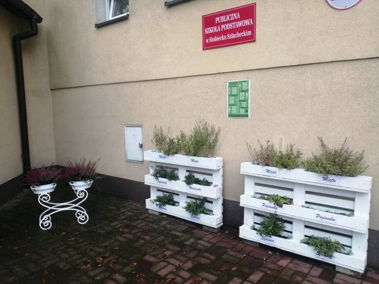Zdjęcie 2