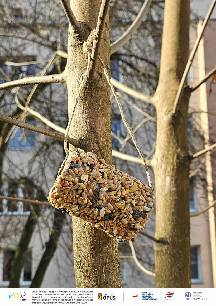 Zdjęcie 2