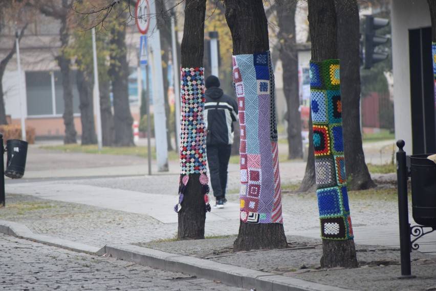 Zdjęcie 2