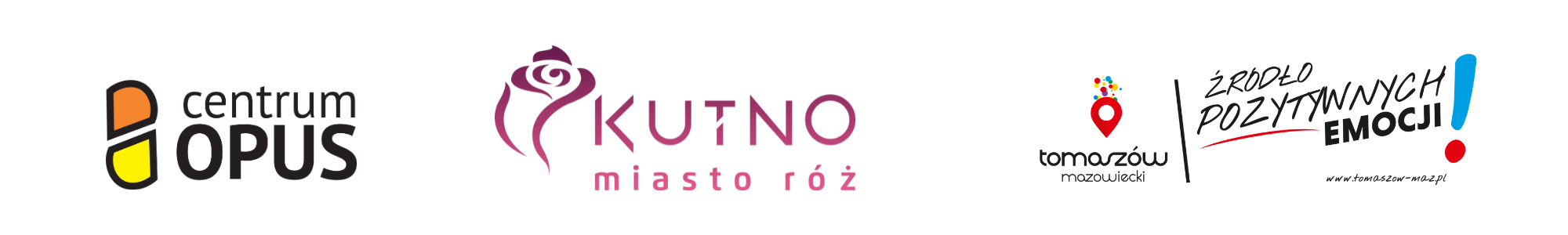 Edukacja NGO: czy organizacja może zarabiać? [szkolenia w Tomaszowie i Kutnie]