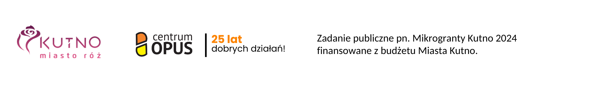 MIKROGRANTY W KUTNIE 2024: Lista laureatów