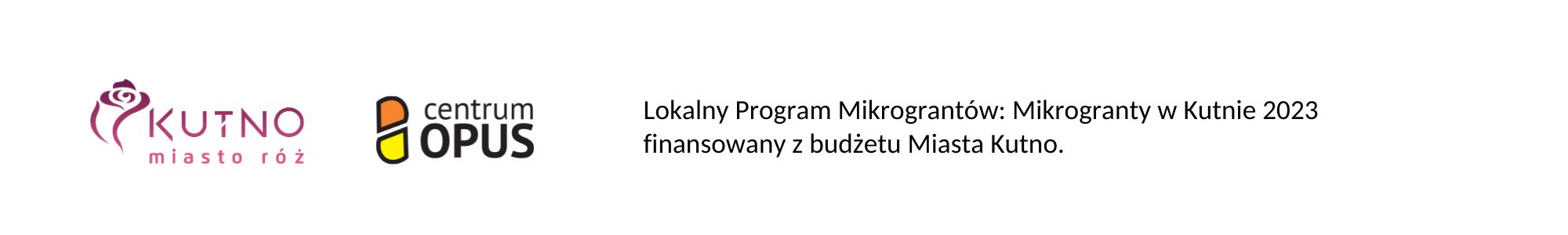 Mikrogranty w Kutnie 2023: Zakończenie ETAPU 1