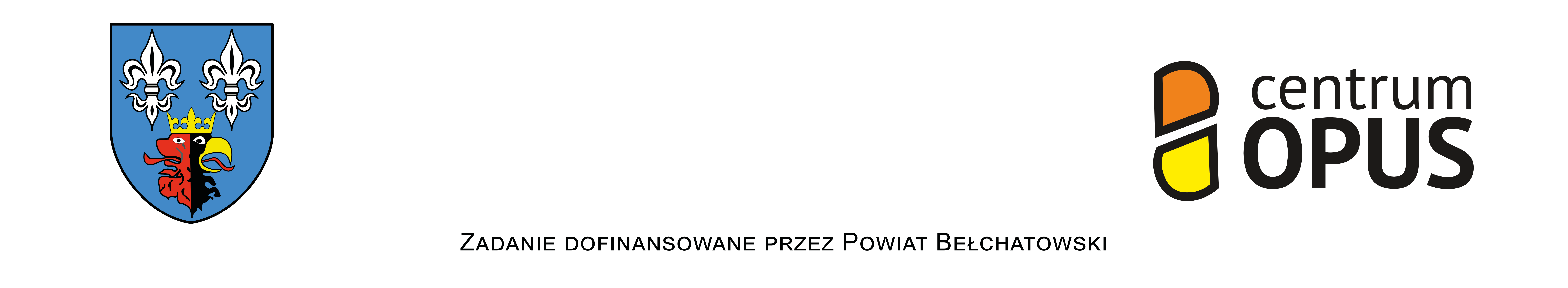 "Wolontariat - jak i po co uruchamiać aktywność wolontarystyczną w lokalnej społeczności?"