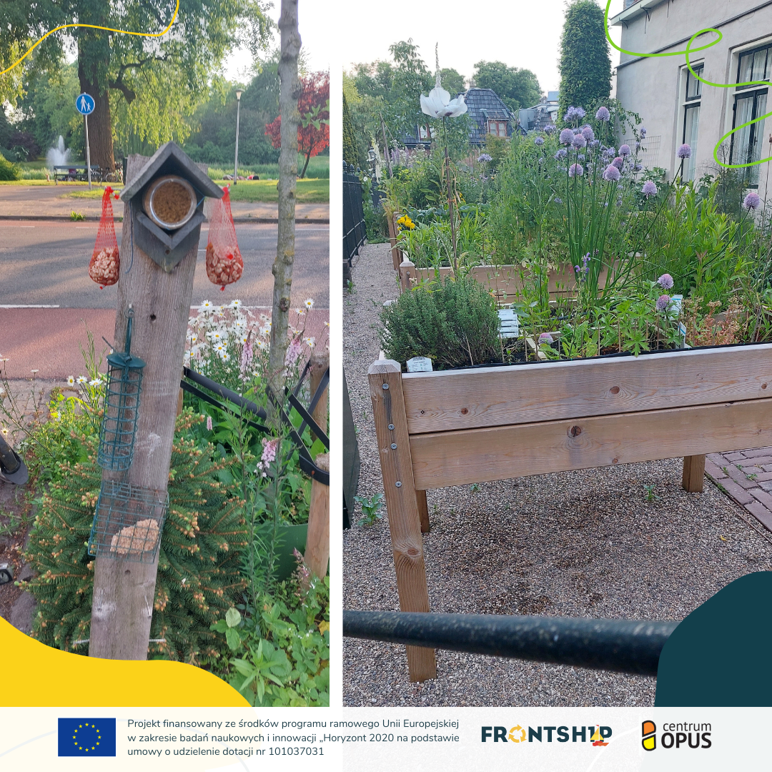 Odwiedziliśmy Holandię w poszukiwaniu inspiracji dla zielonej transformacji