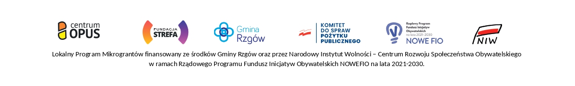 Lokalny Konkurs Mikrograntów Rzgów 2023 - lista laureatów