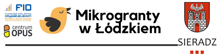 Lokalny Program Mikrograntów: Sieradz. Wyniki. Lista laureatów