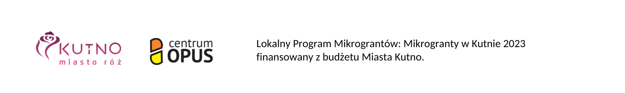 MIKROGRANTY W KUTNIE