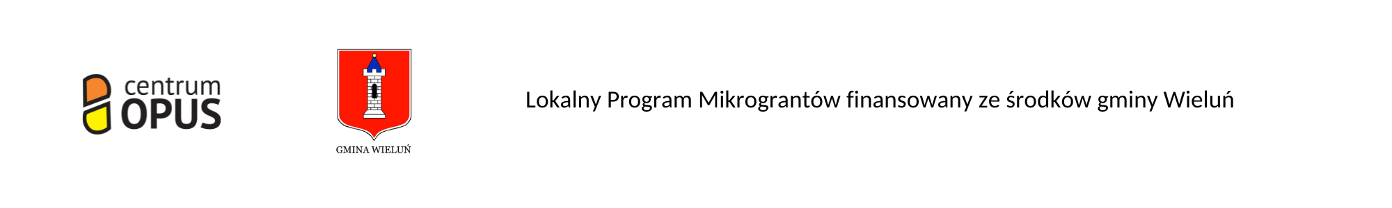 Spotkanie informacyjne LPM: Mikrogranty w Gminie Wieluń 2023