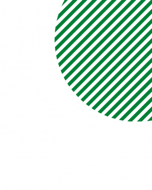 Ośrodek Wsparcia Ekonomii Społecznej 2024-2026